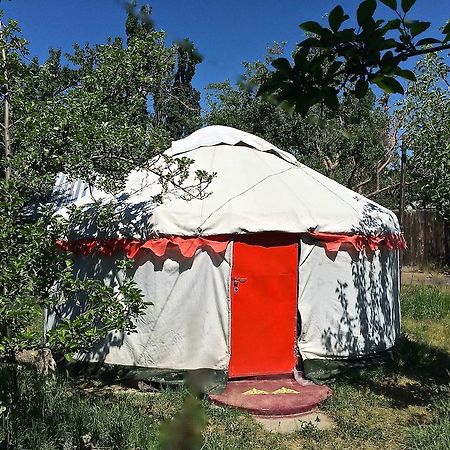 Arista Yurt Camp Hotel Karakol Bilik gambar