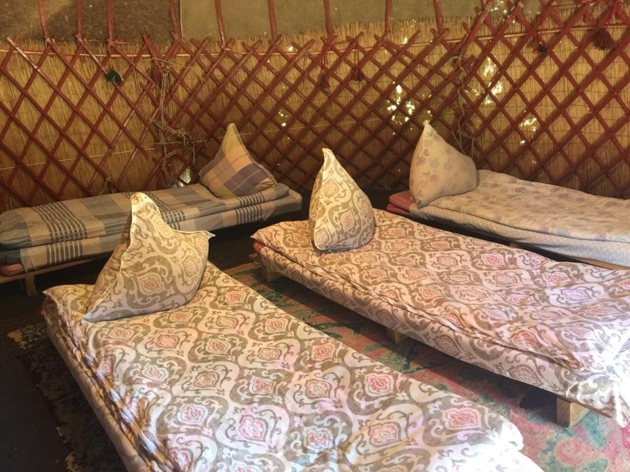 Arista Yurt Camp Hotel Karakol Luaran gambar